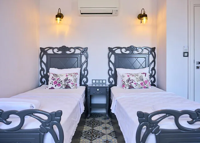 Megaron Homes Cunda Island Hotel *